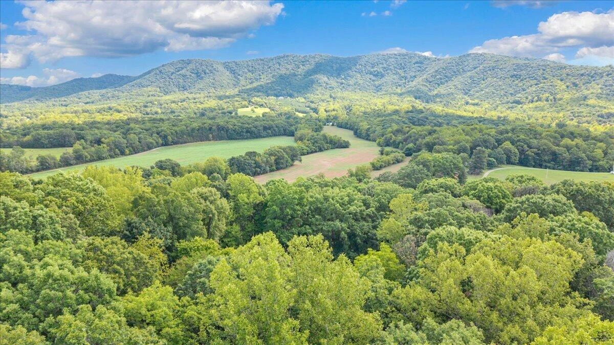 7654 Goose Creek Valley RD - Photo 104