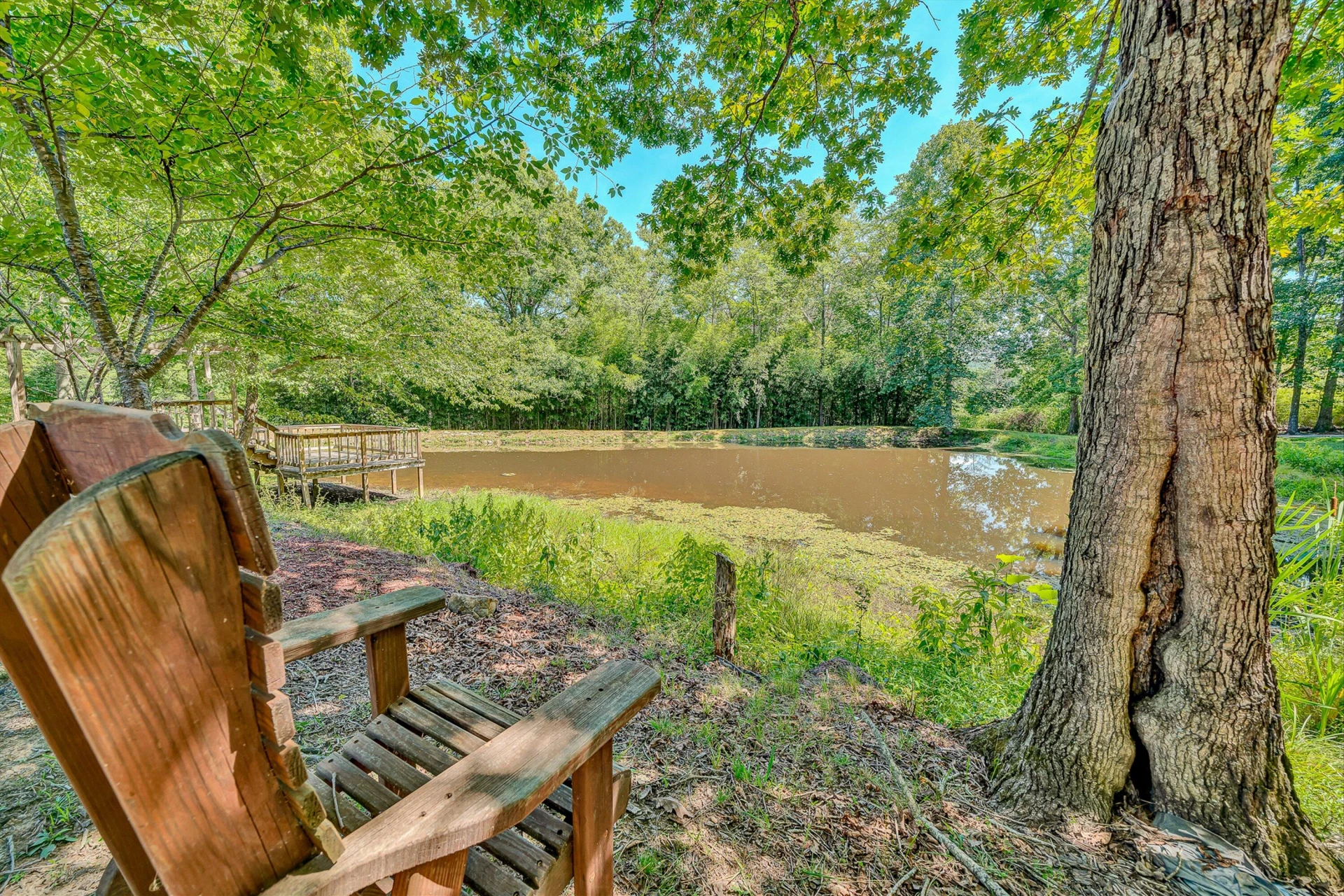 3872 Carvins Cove RD - Photo 61