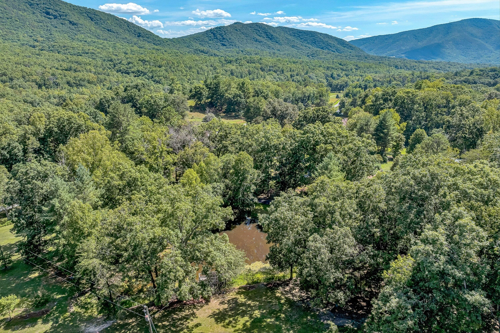 3872 Carvins Cove RD - Photo 63