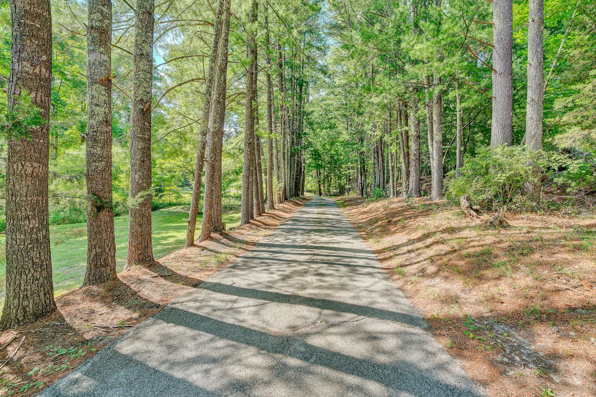 3872 Carvins Cove RD - Photo 68