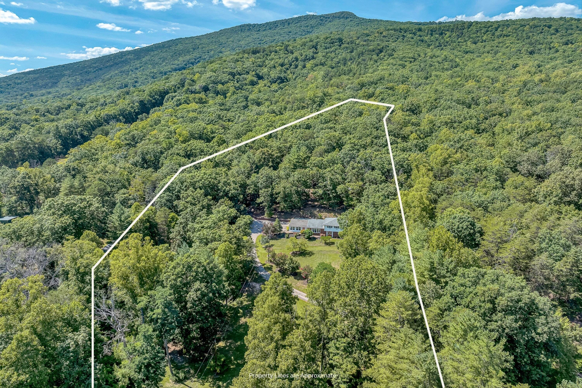 3872 Carvins Cove RD - Photo 74