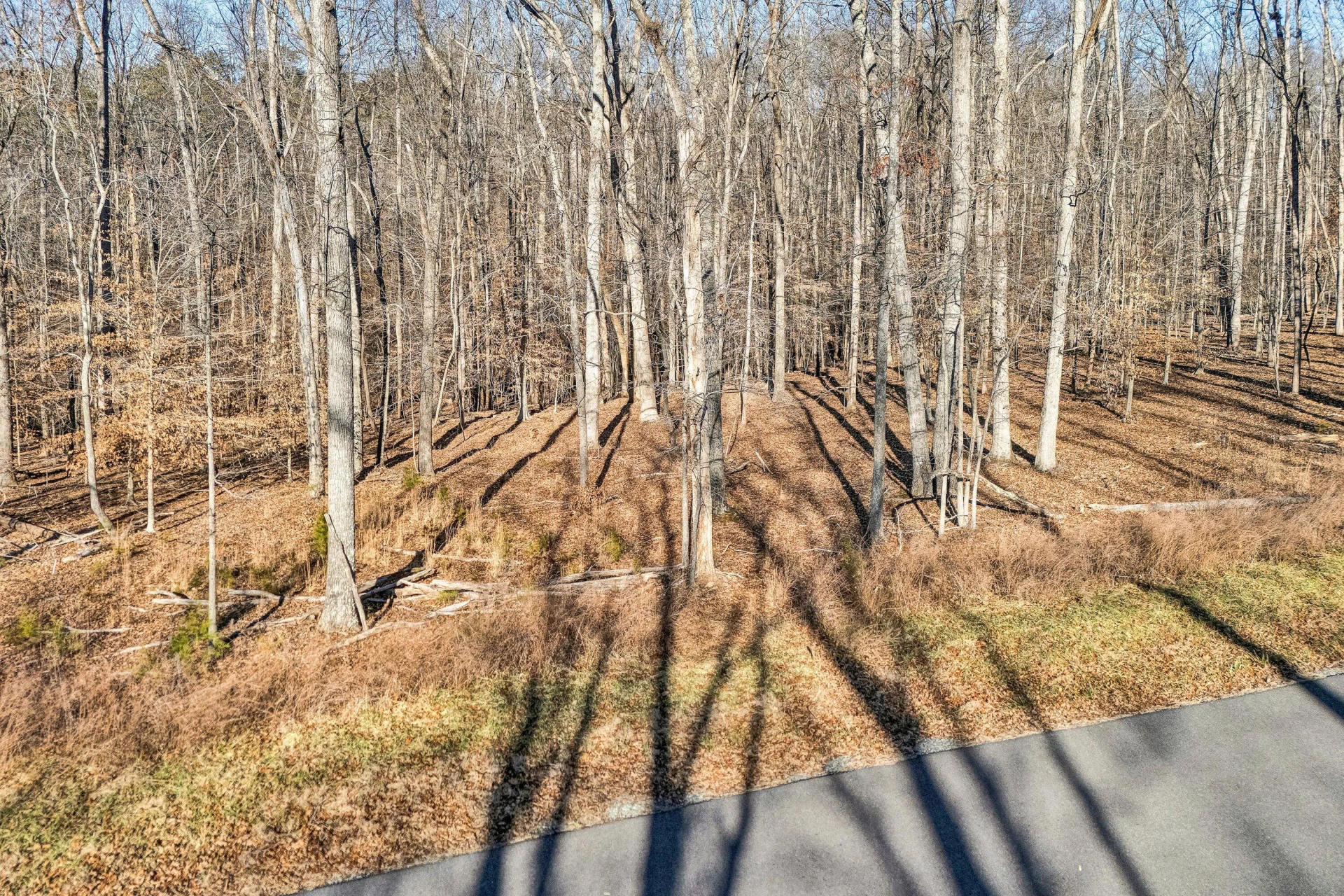 Lot 10 Red Barn LN - Photo 5