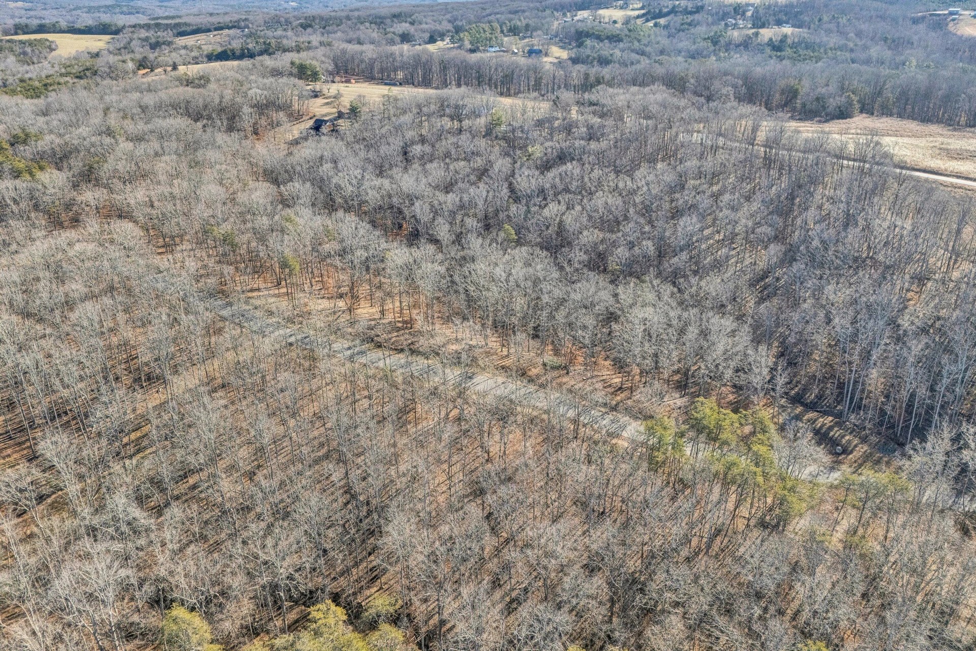 Lot 10 Red Barn LN - Photo 6
