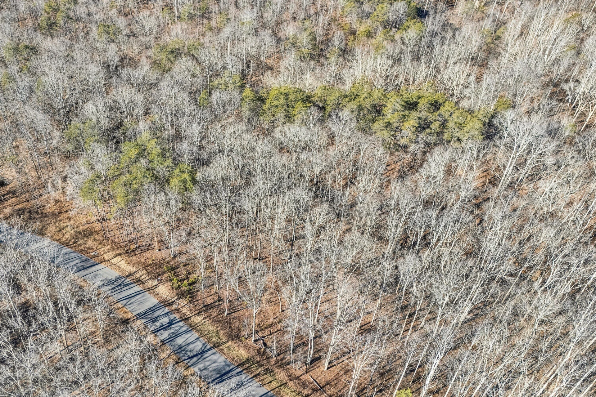 Lot 10 Red Barn LN - Photo 8