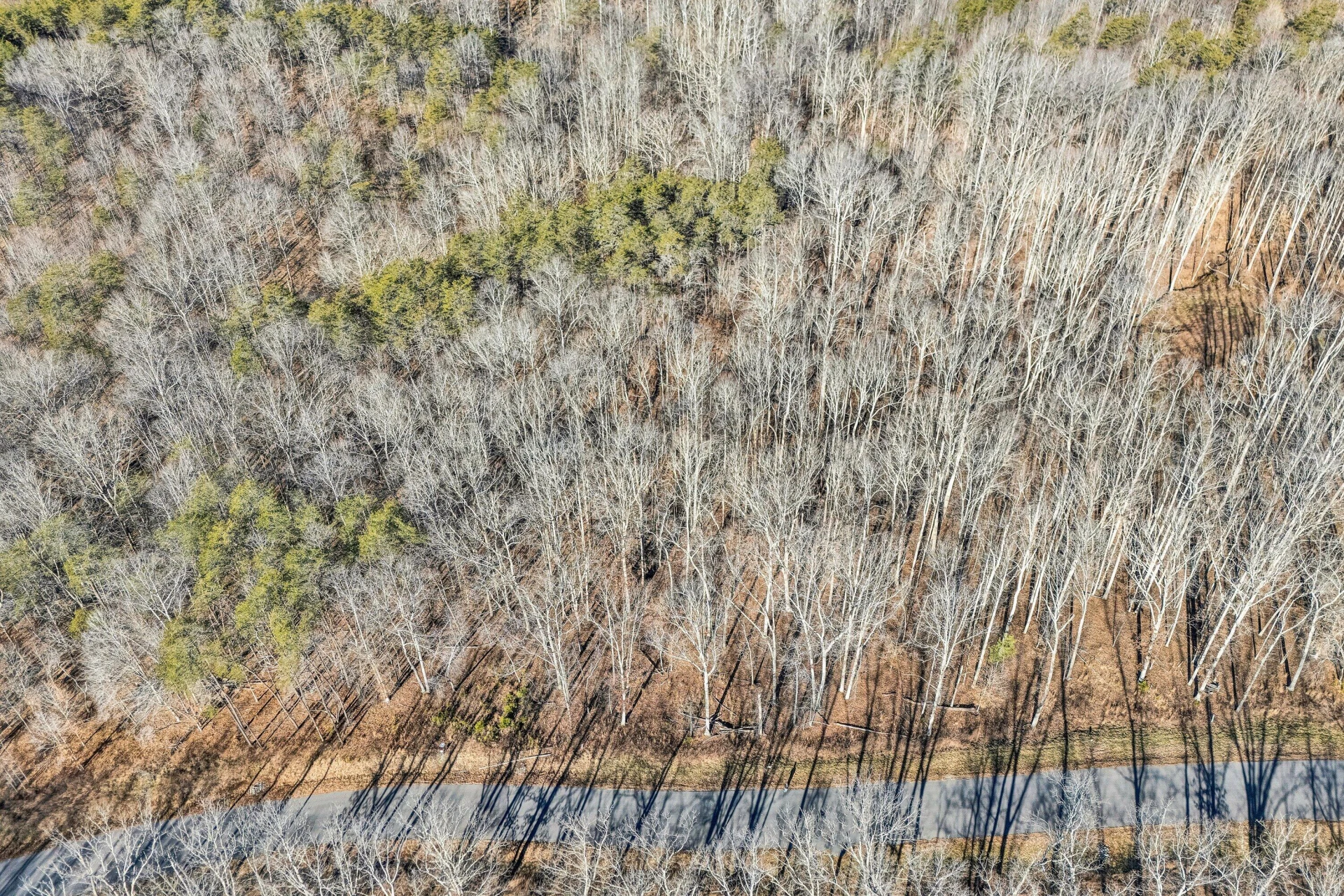 Lot 10 Red Barn LN - Photo 9
