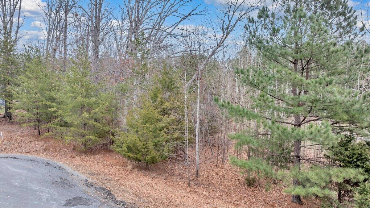 Lot 21 Sunview CIR - Photo 26