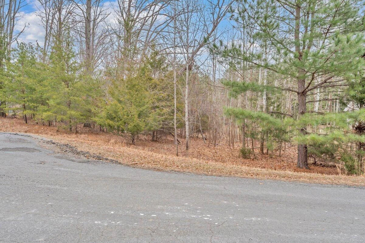 Lot 21 Sunview CIR - Photo 28