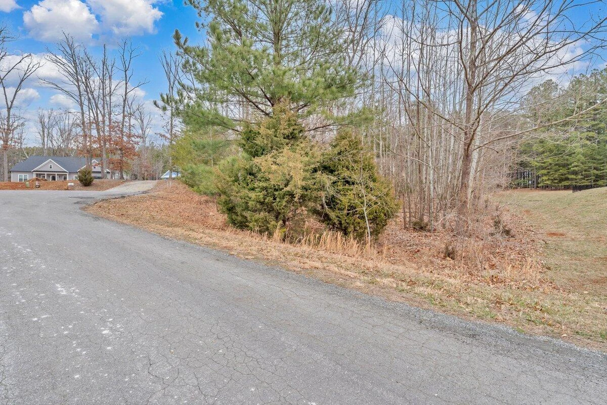 Lot 21 Sunview CIR - Photo 29