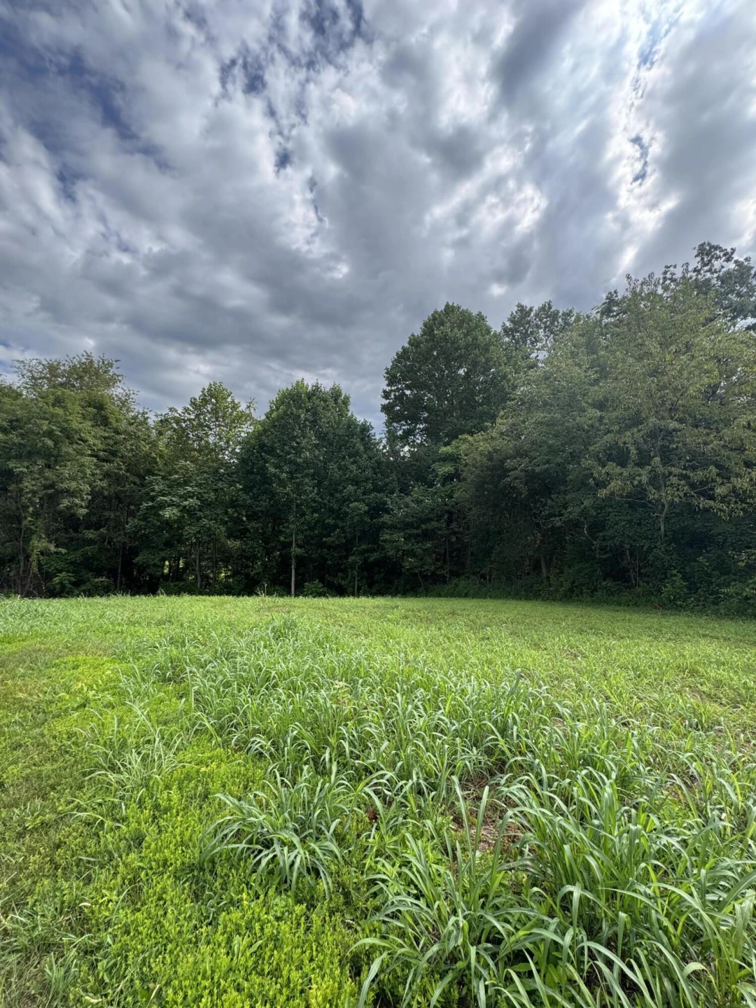 Lot 13 Keiths PL - Photo 2