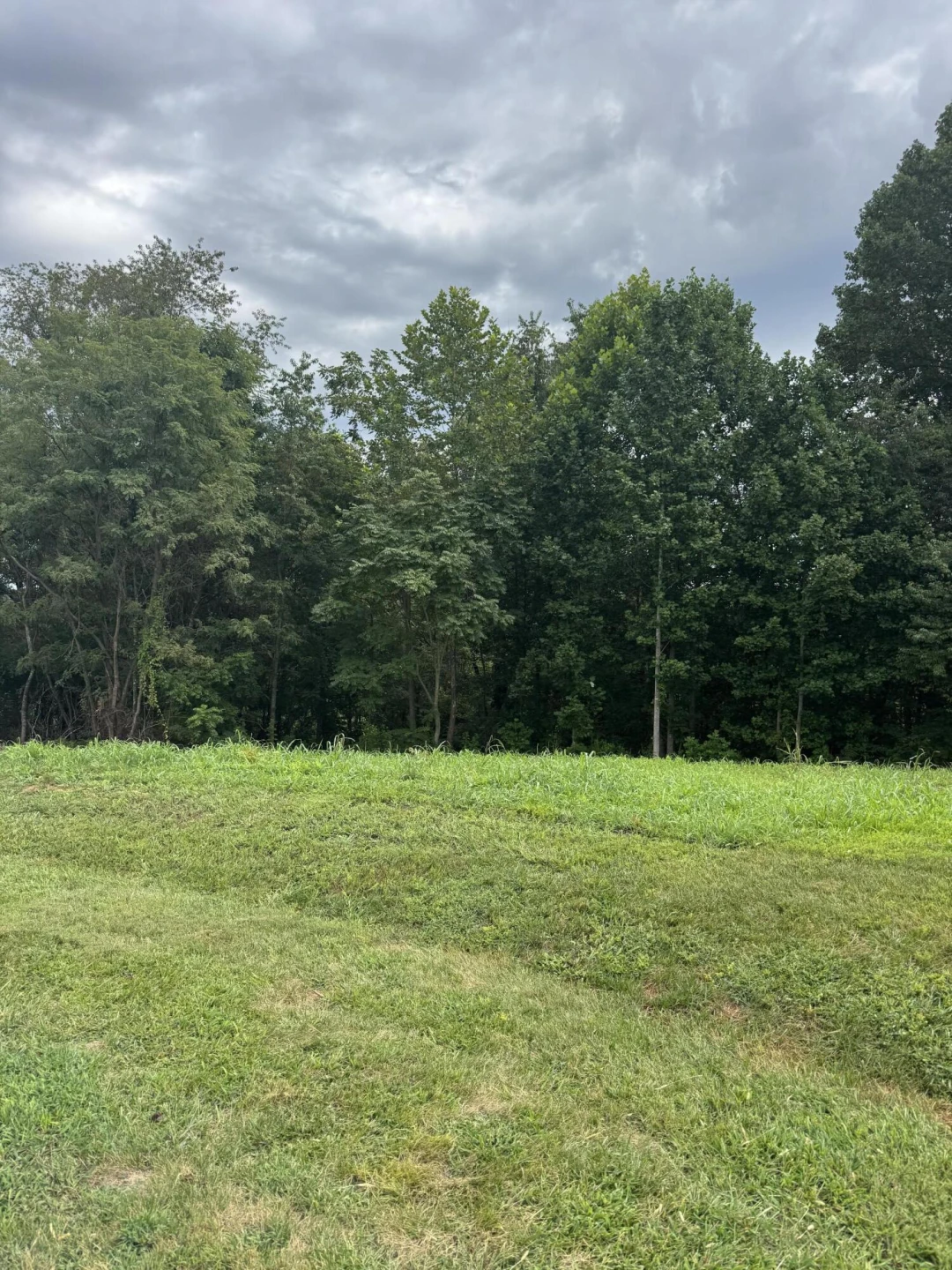 Lot 13 Keiths PL - Photo 5