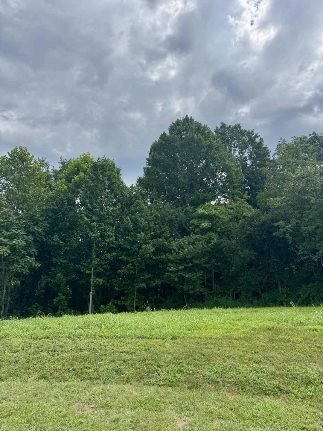 Lot 13 Keiths PL - Photo 6
