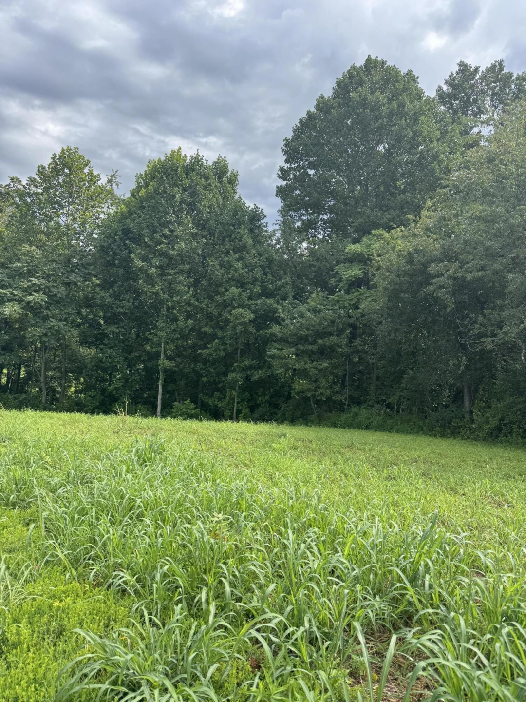 Lot 13 Keiths PL - Photo 7