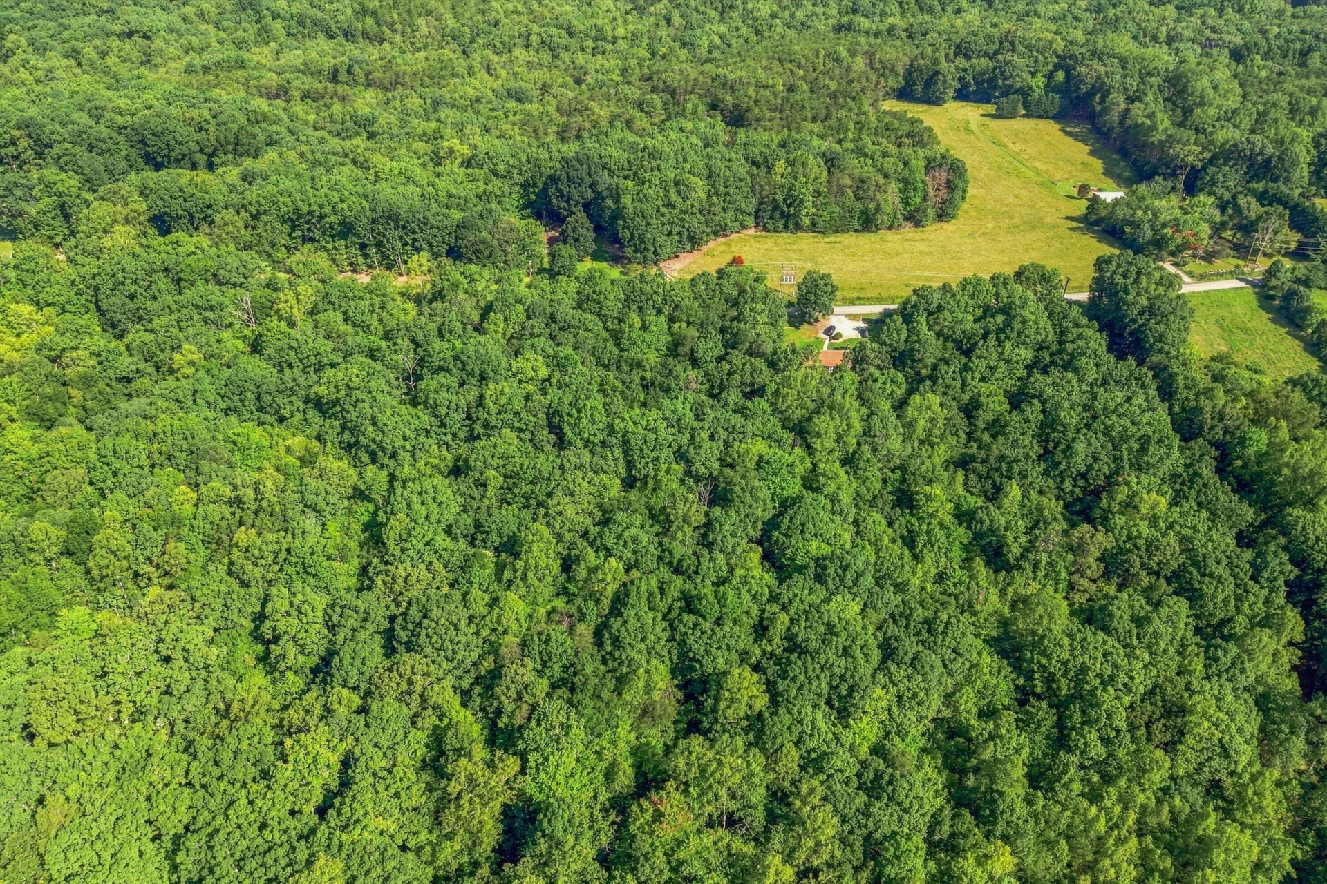 Lot 18 Lovely Valley RD - Photo 10