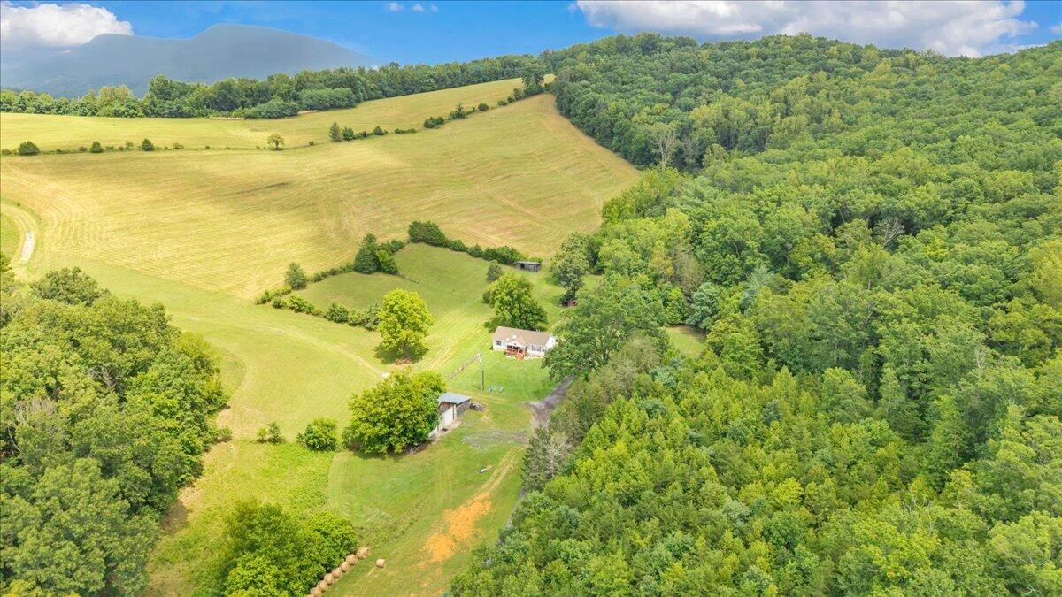 211 Wild Grass LN - Photo 53