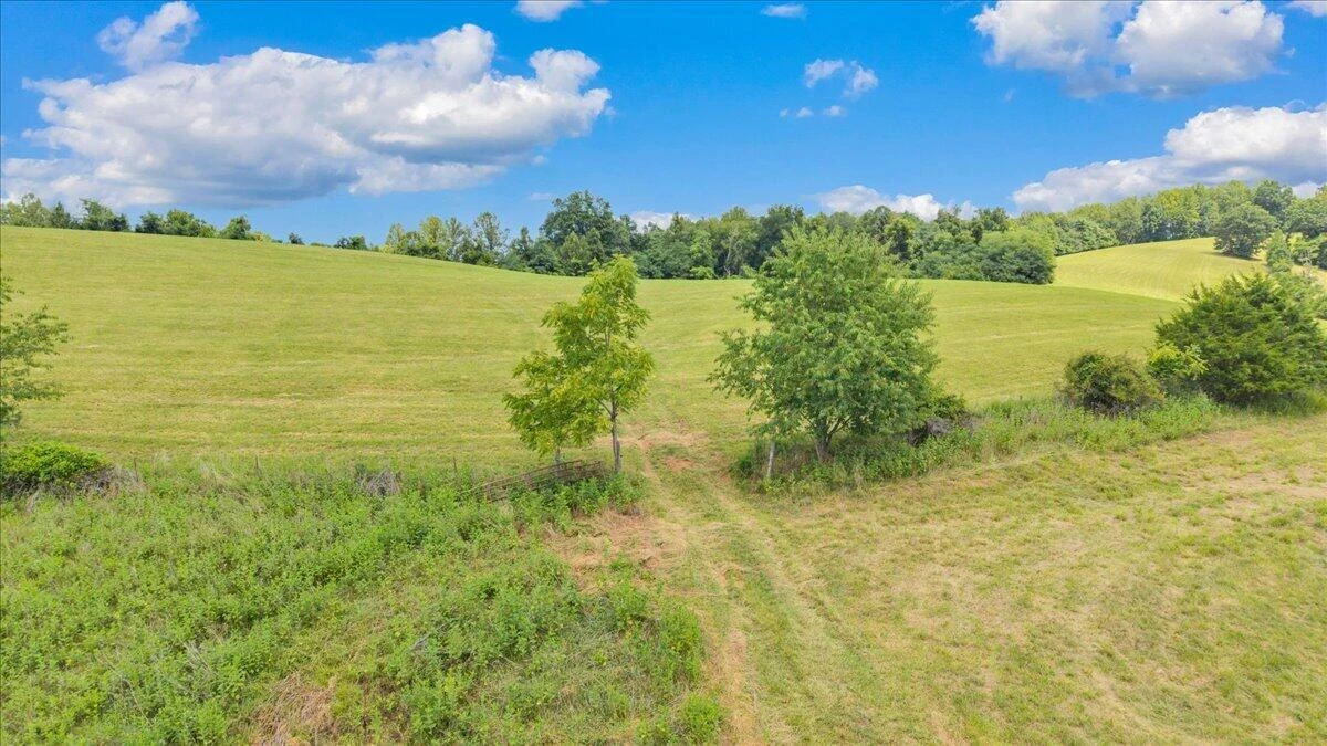 211 Wild Grass LN - Photo 81