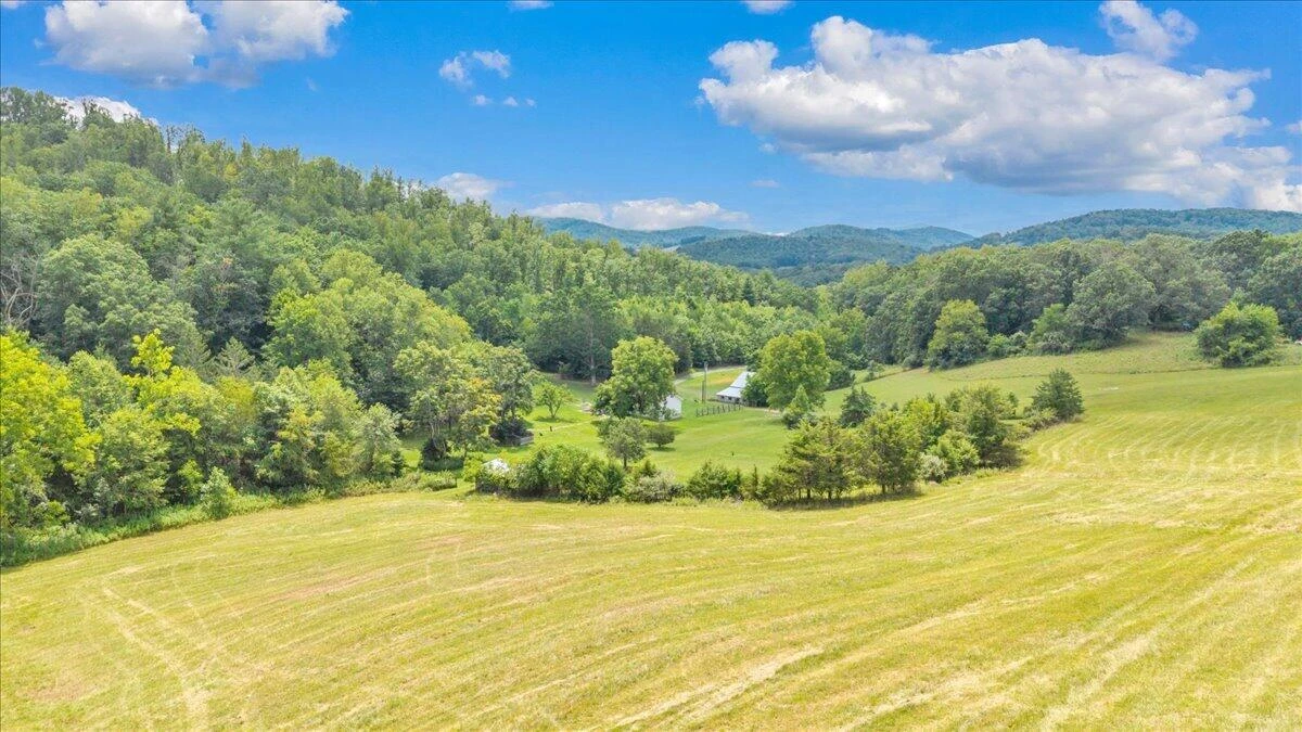 211 Wild Grass LN - Photo 86