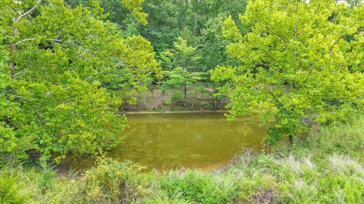 211 Wild Grass LN - Photo 89