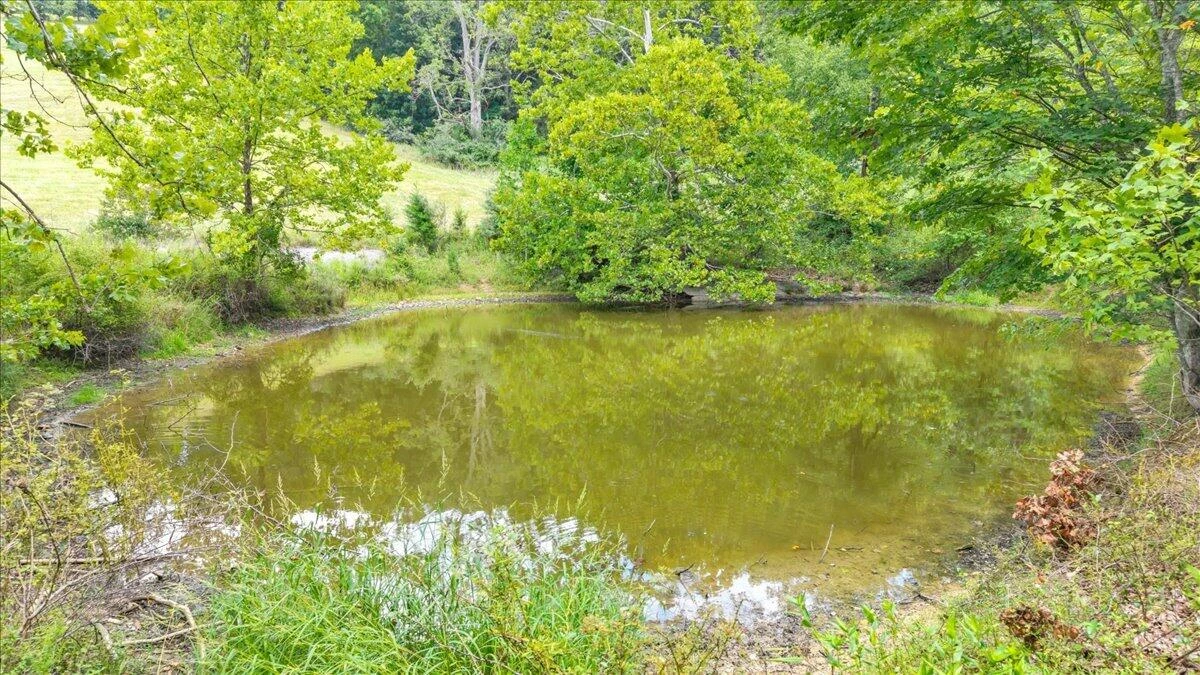 211 Wild Grass LN - Photo 90