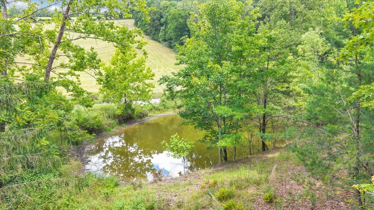 211 Wild Grass LN - Photo 91
