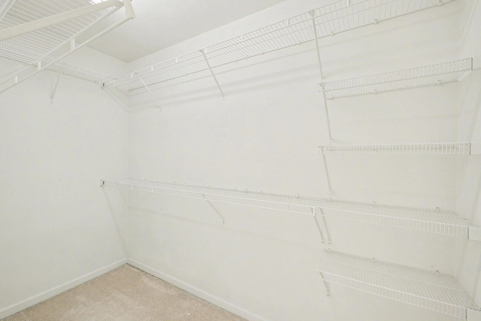 8706 Little Hoop RD - Photo 34