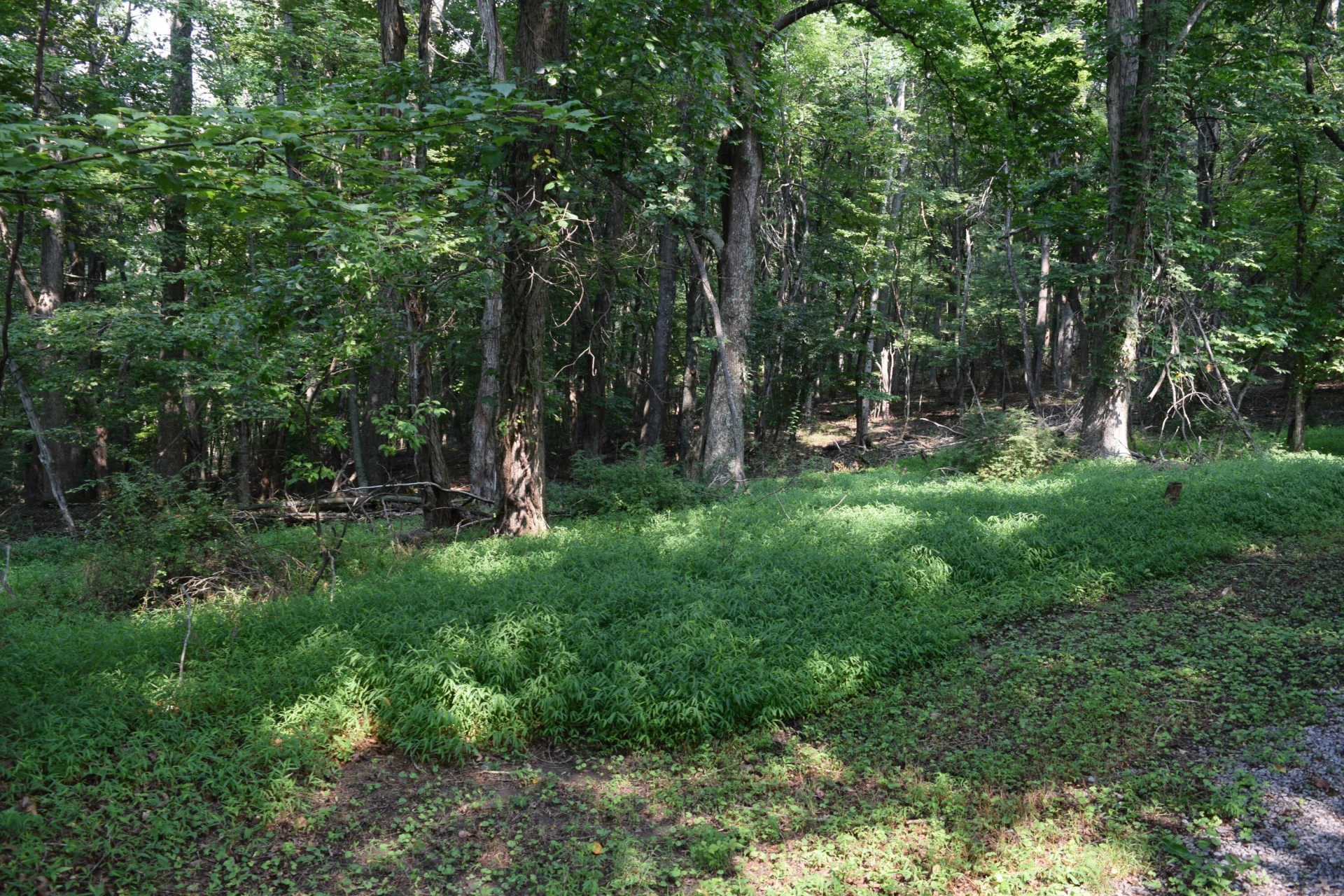 963 Dusty Rock RD NW - Photo 11