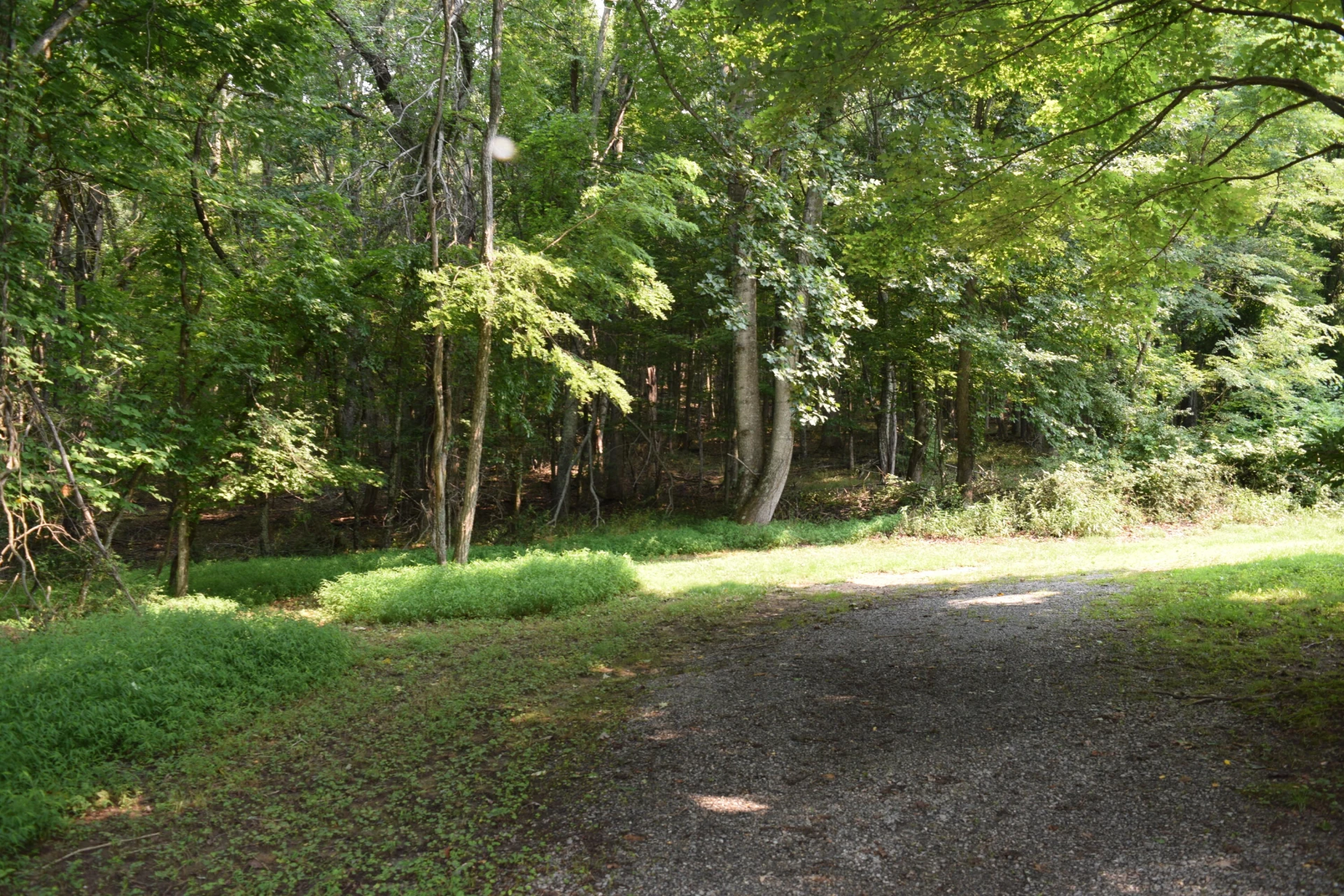 963 Dusty Rock RD NW - Photo 12