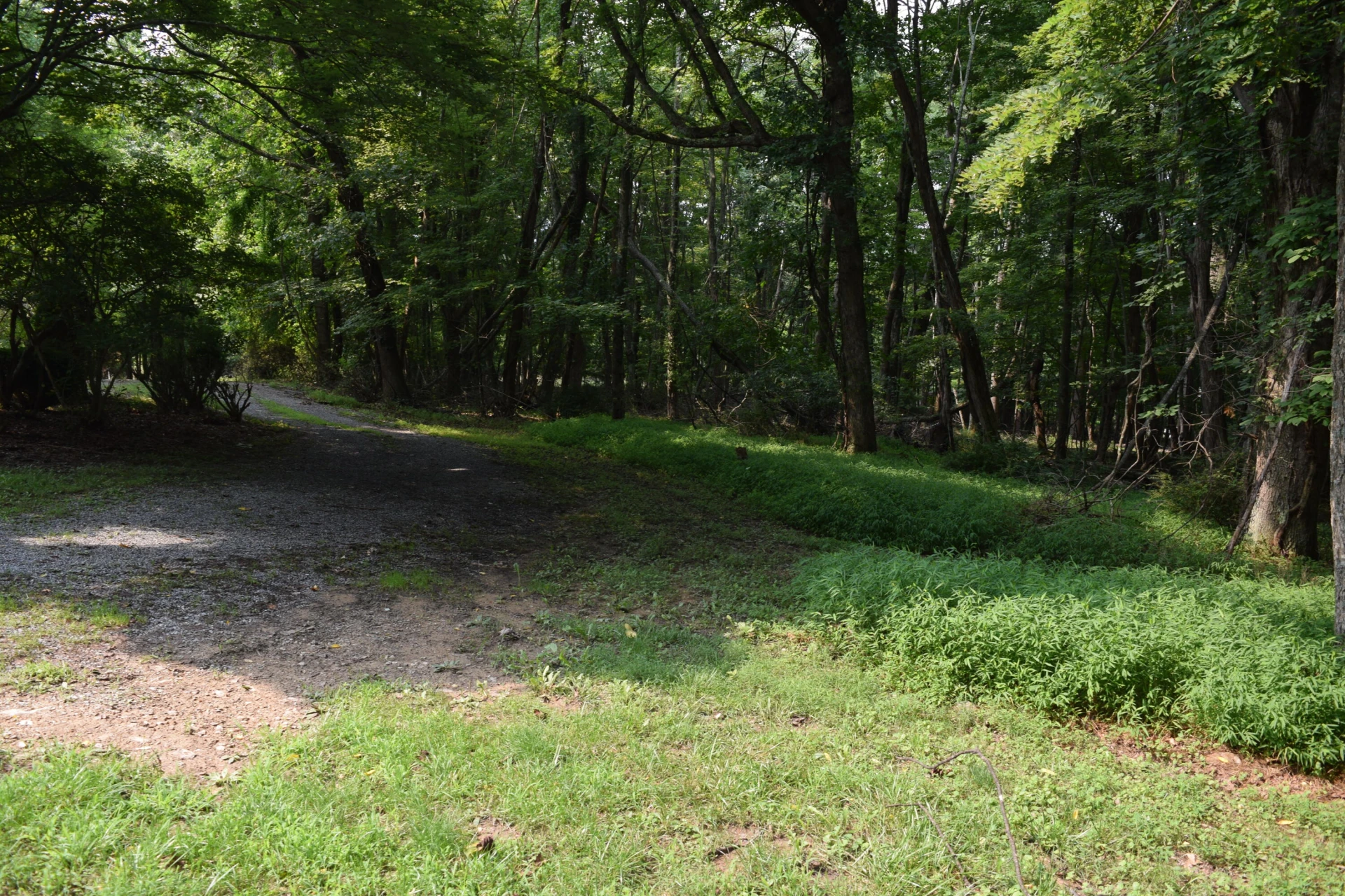 963 Dusty Rock RD NW - Photo 16