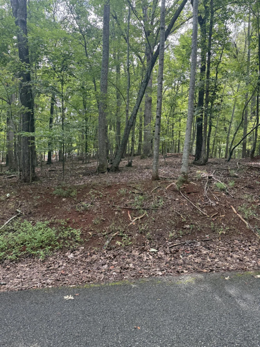 Lot 4 Charmwood CIR - Photo 3