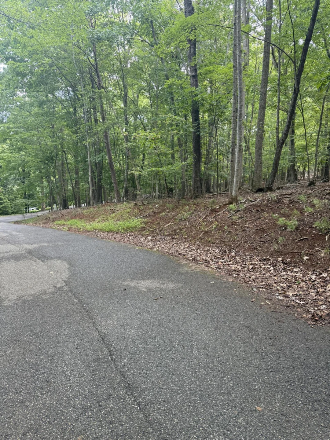 Lot 4 Charmwood CIR - Photo 2