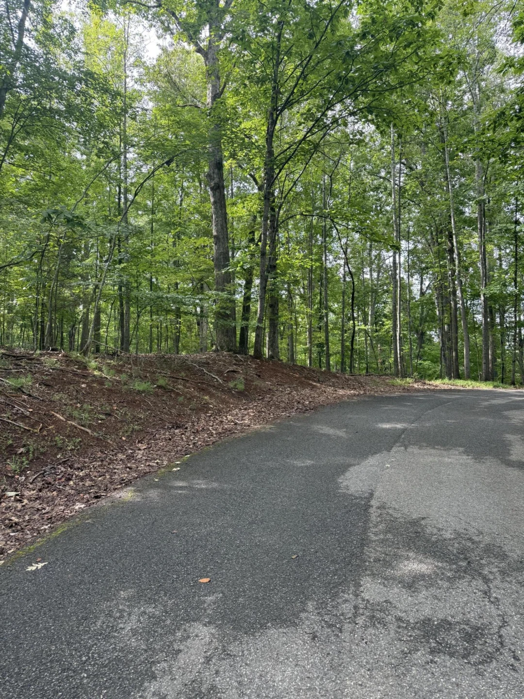 Lot 4 Charmwood CIR - Photo 4