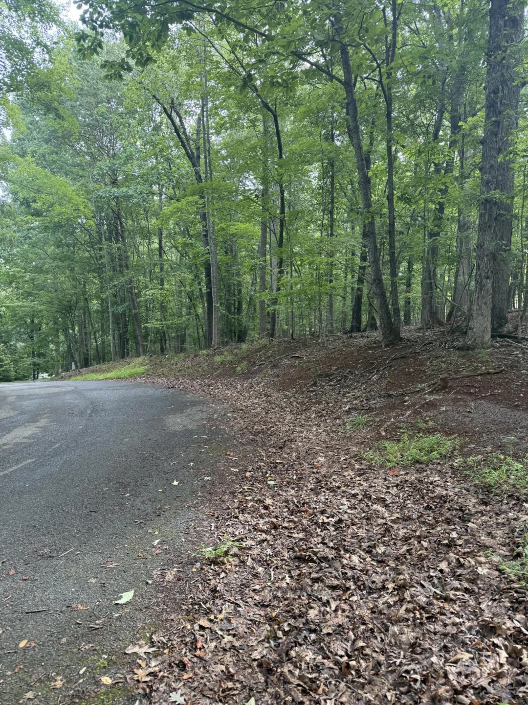 Lot 4 Charmwood CIR - Photo 5
