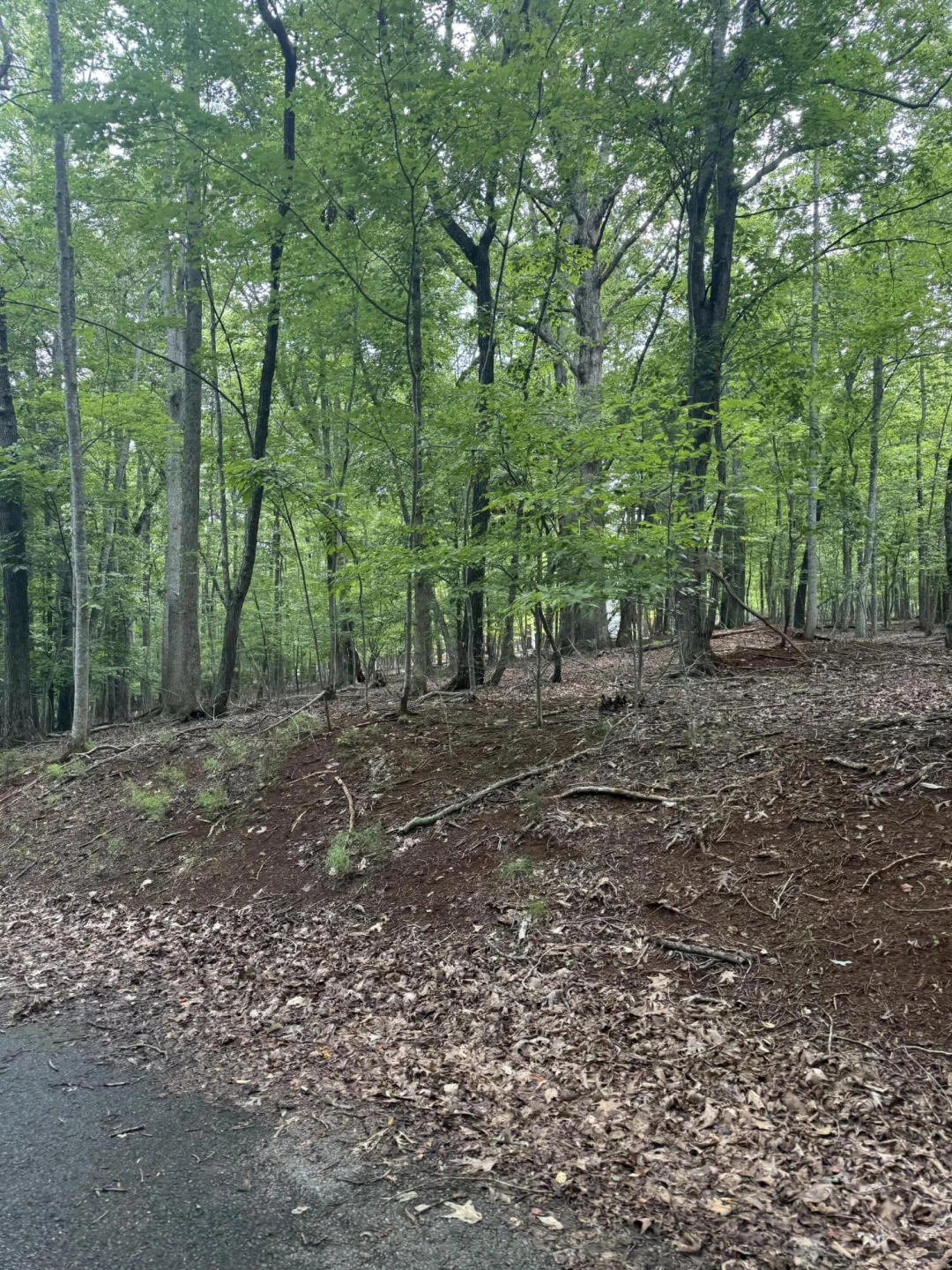 Lot 4 Charmwood CIR - Photo 6