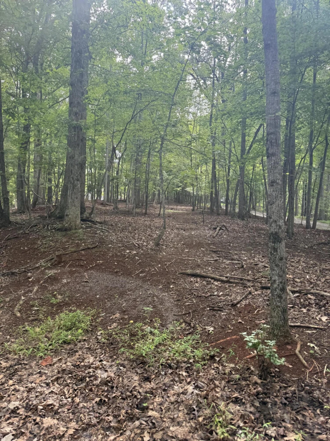 Lot 4 Charmwood CIR - Photo 7