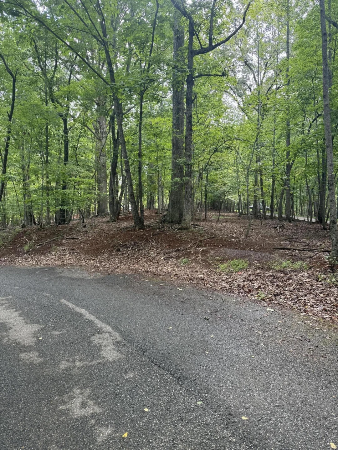 Lot 4 Charmwood CIR - Photo 8