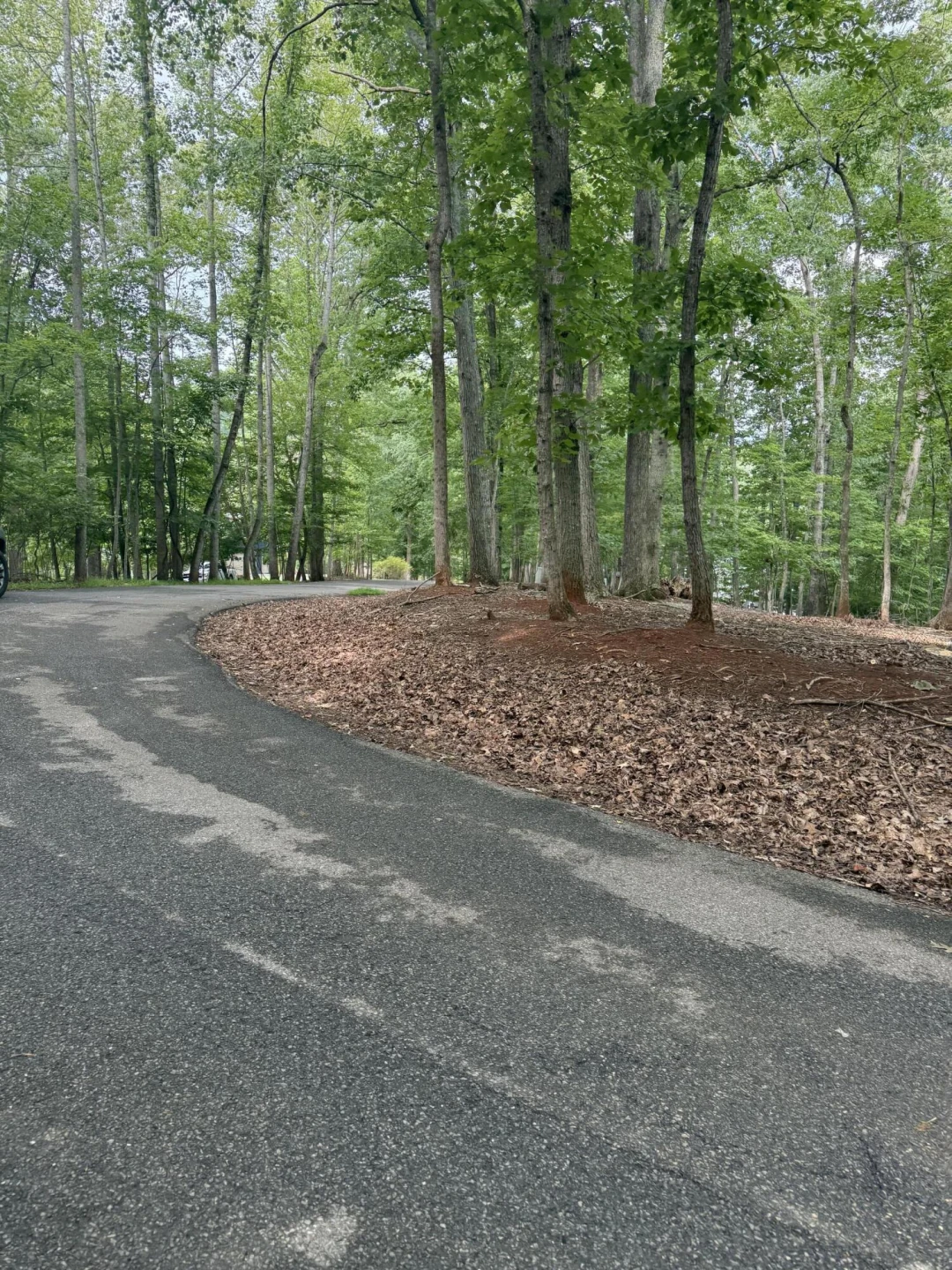 Lot 4 Charmwood CIR - Photo 9