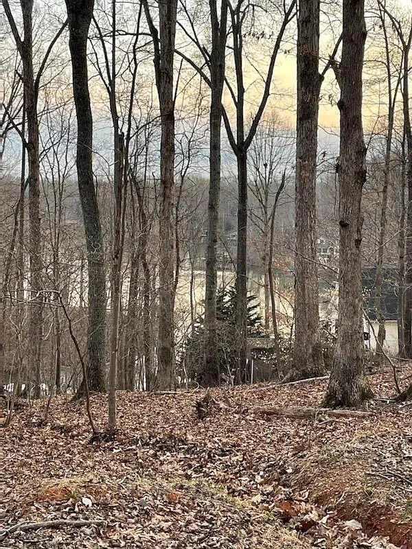 Lot 4 Charmwood CIR - Photo 39