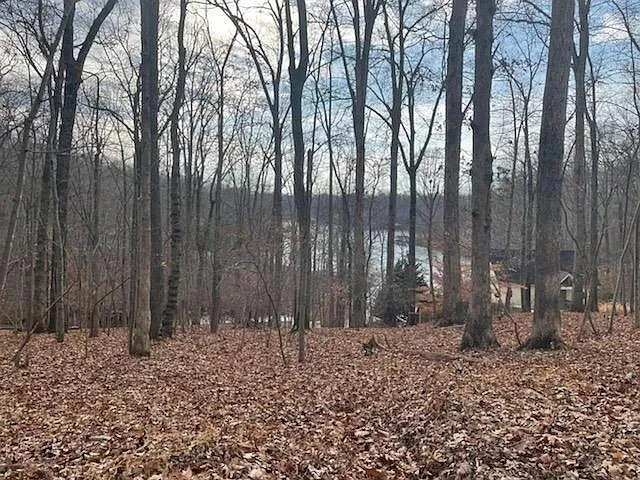 Lot 4 Charmwood CIR - Photo 40