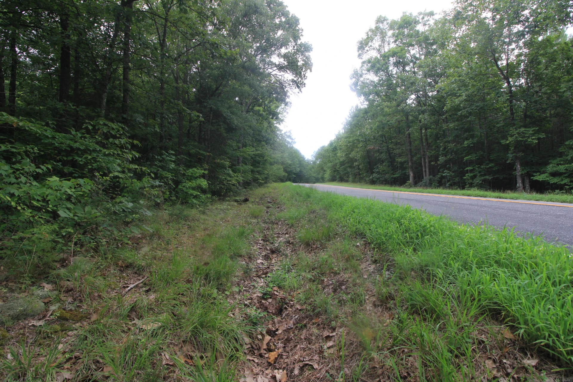 0 Macdonald RD - Photo 5