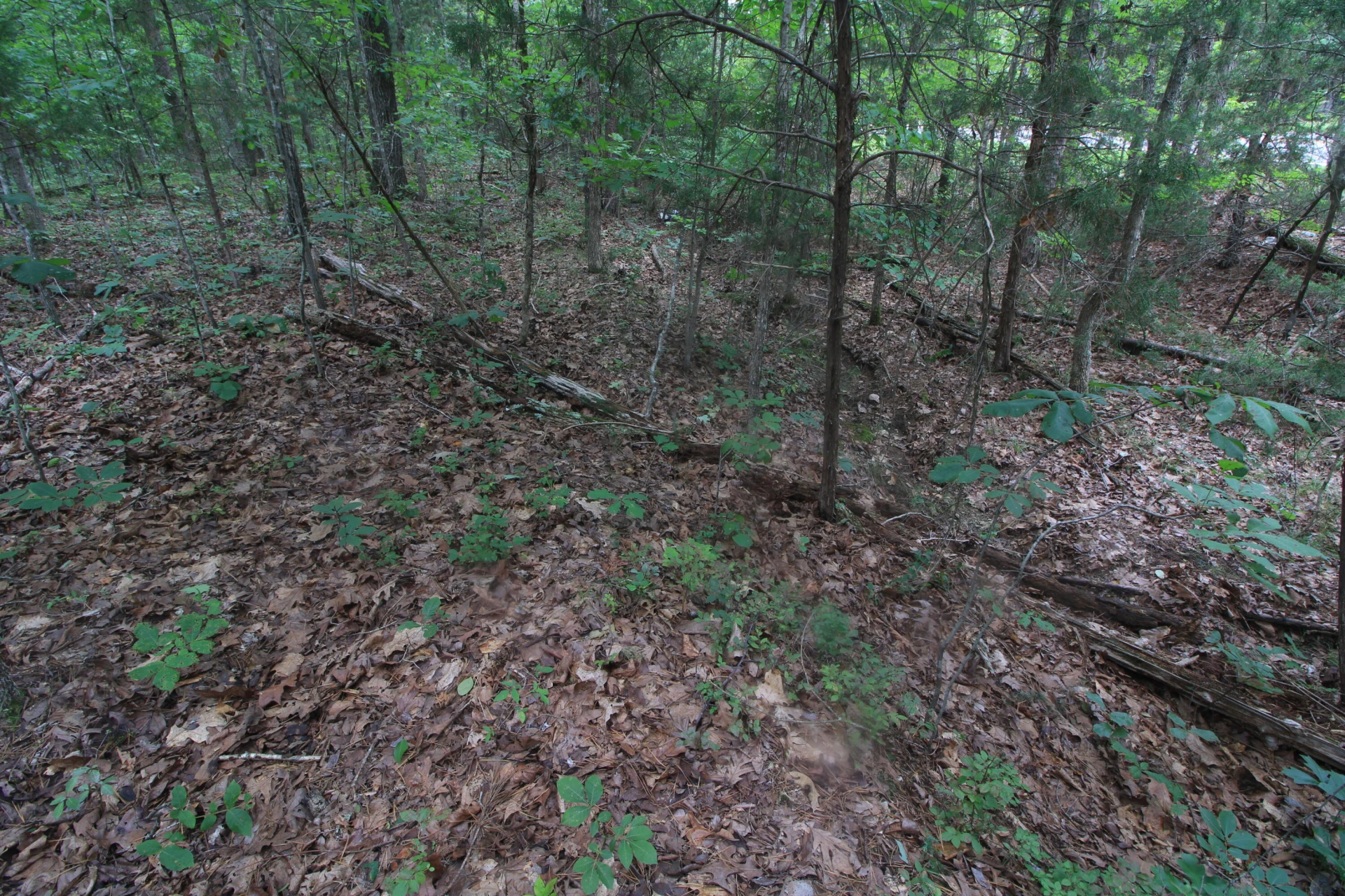 0 Macdonald RD - Photo 6