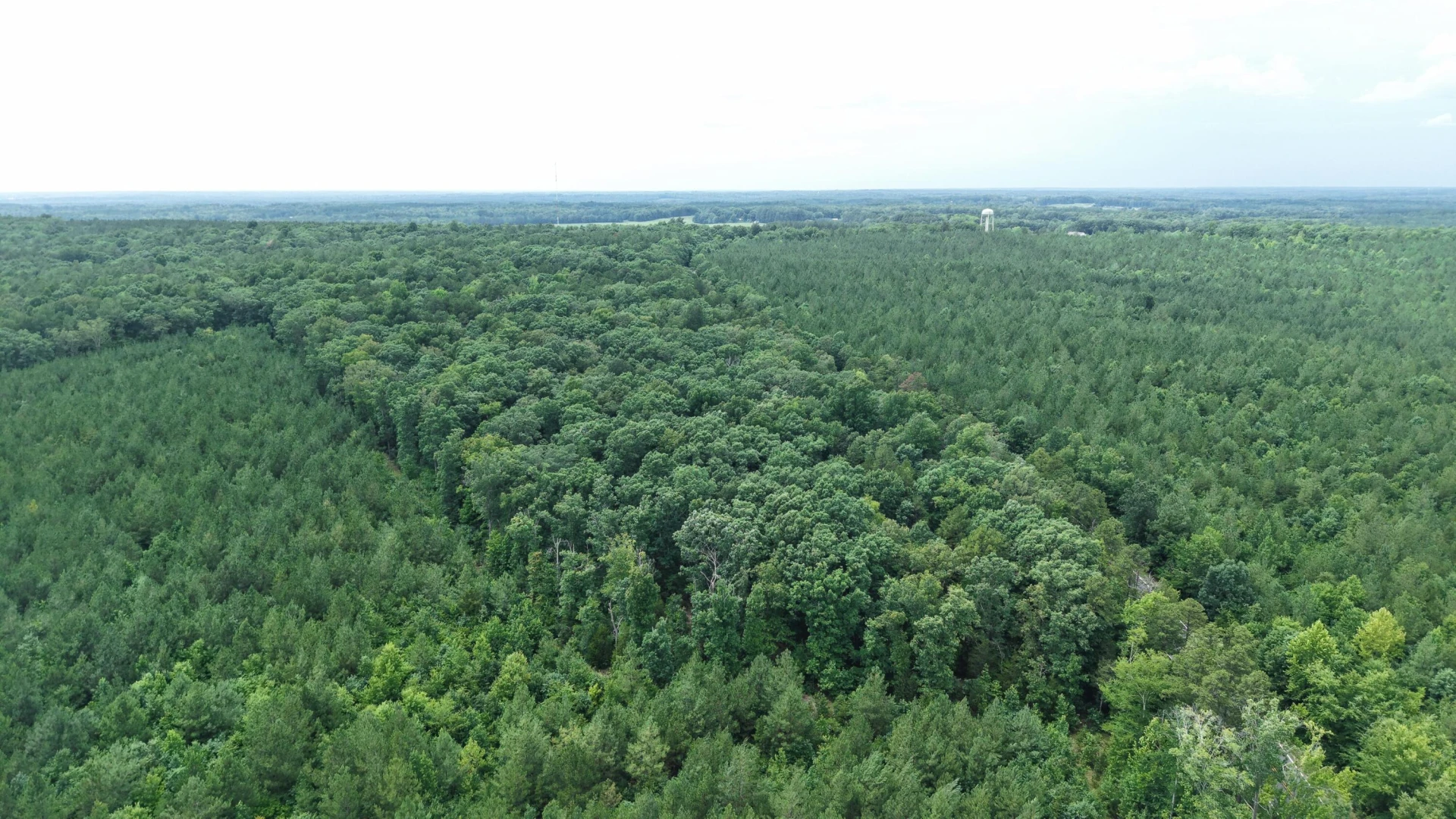 0 Macdonald RD - Photo 11