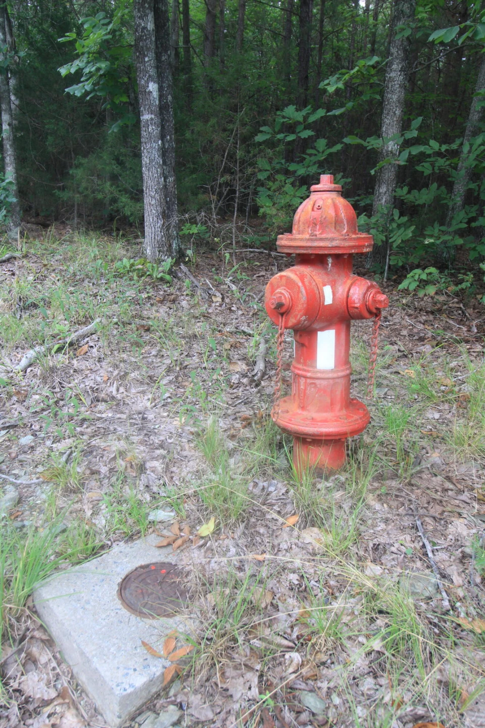 0 Macdonald RD - Photo 13