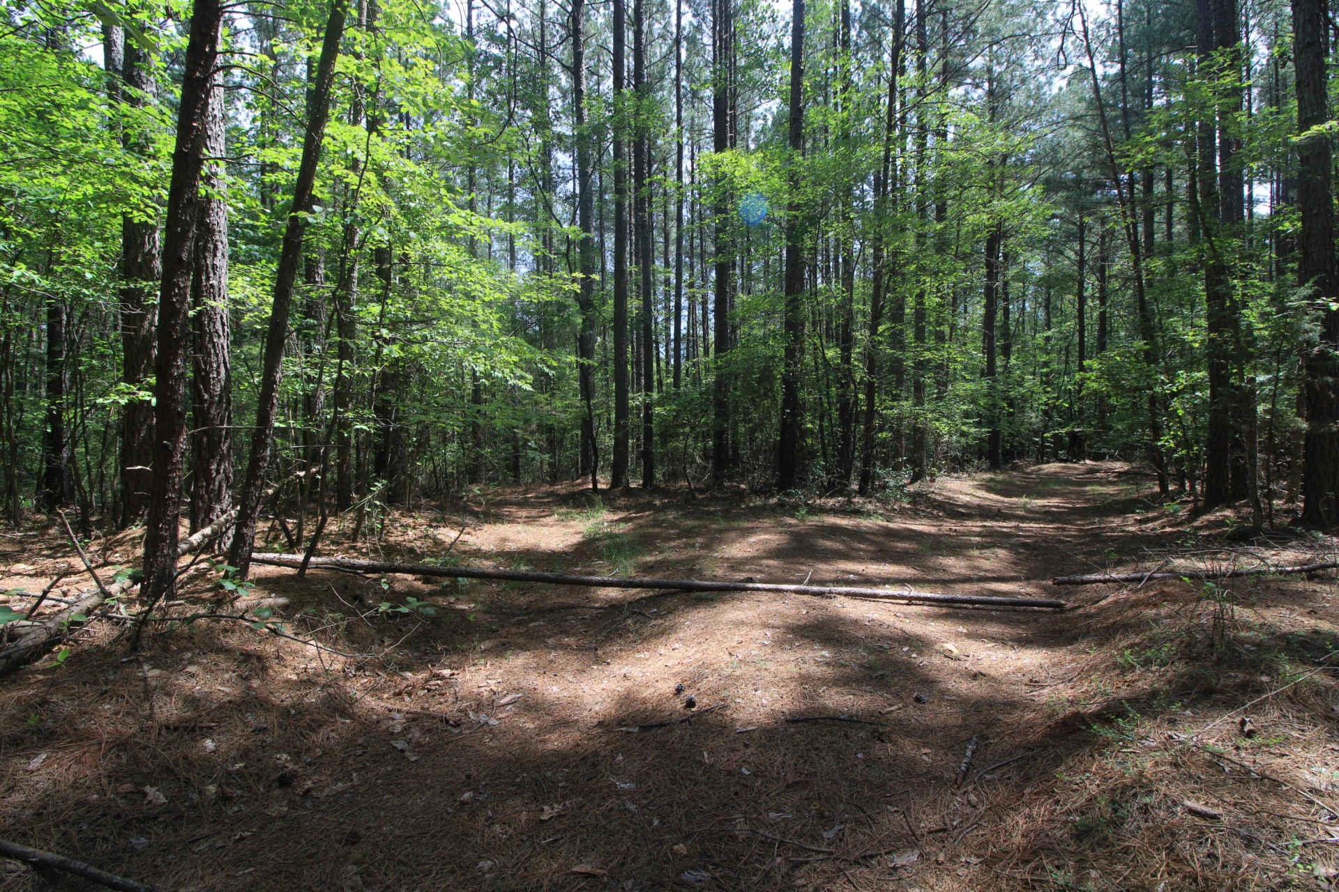 0 Mountain View Shores DR - Photo 11