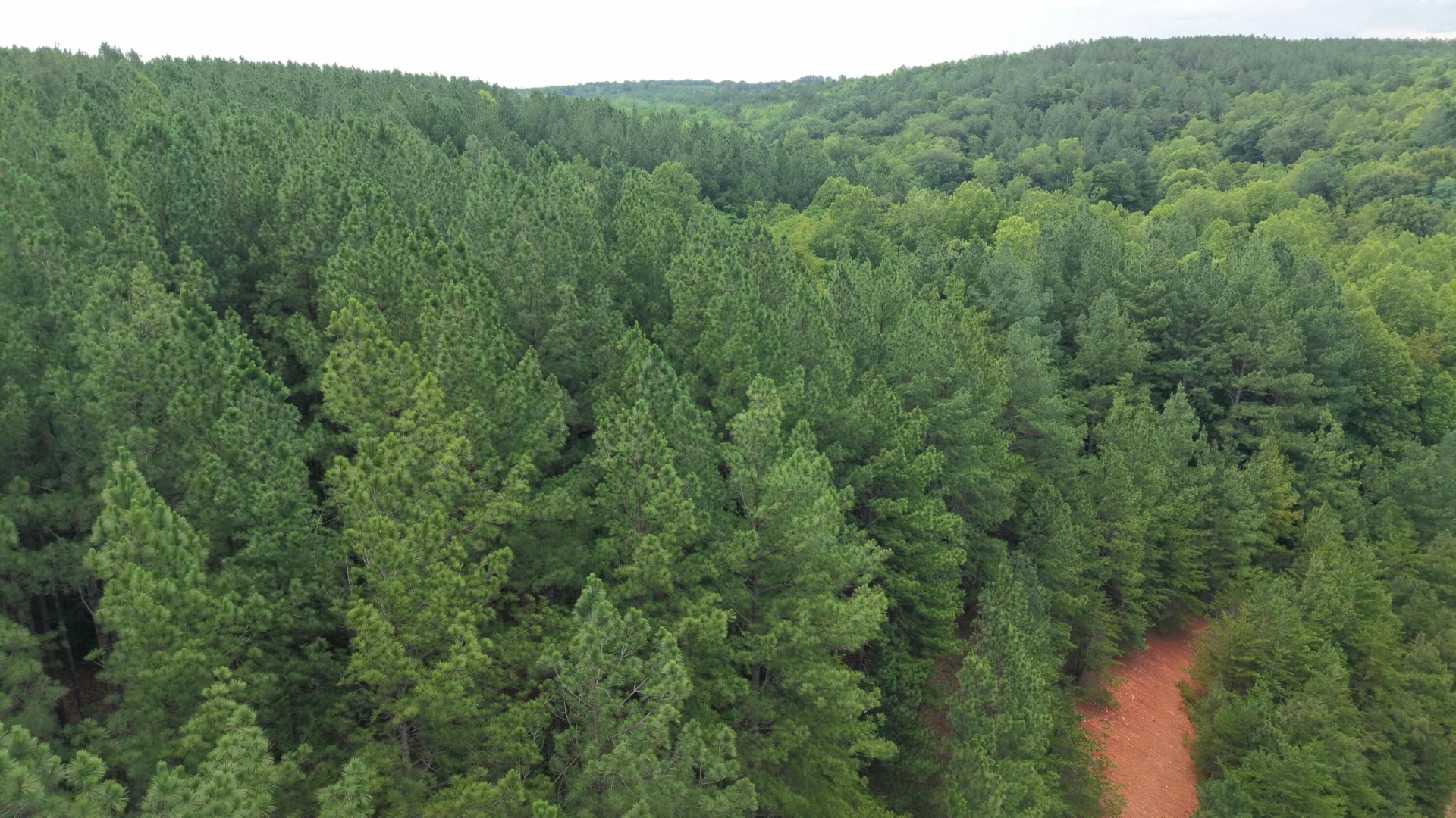 0 Mountain View Shores DR - Photo 17