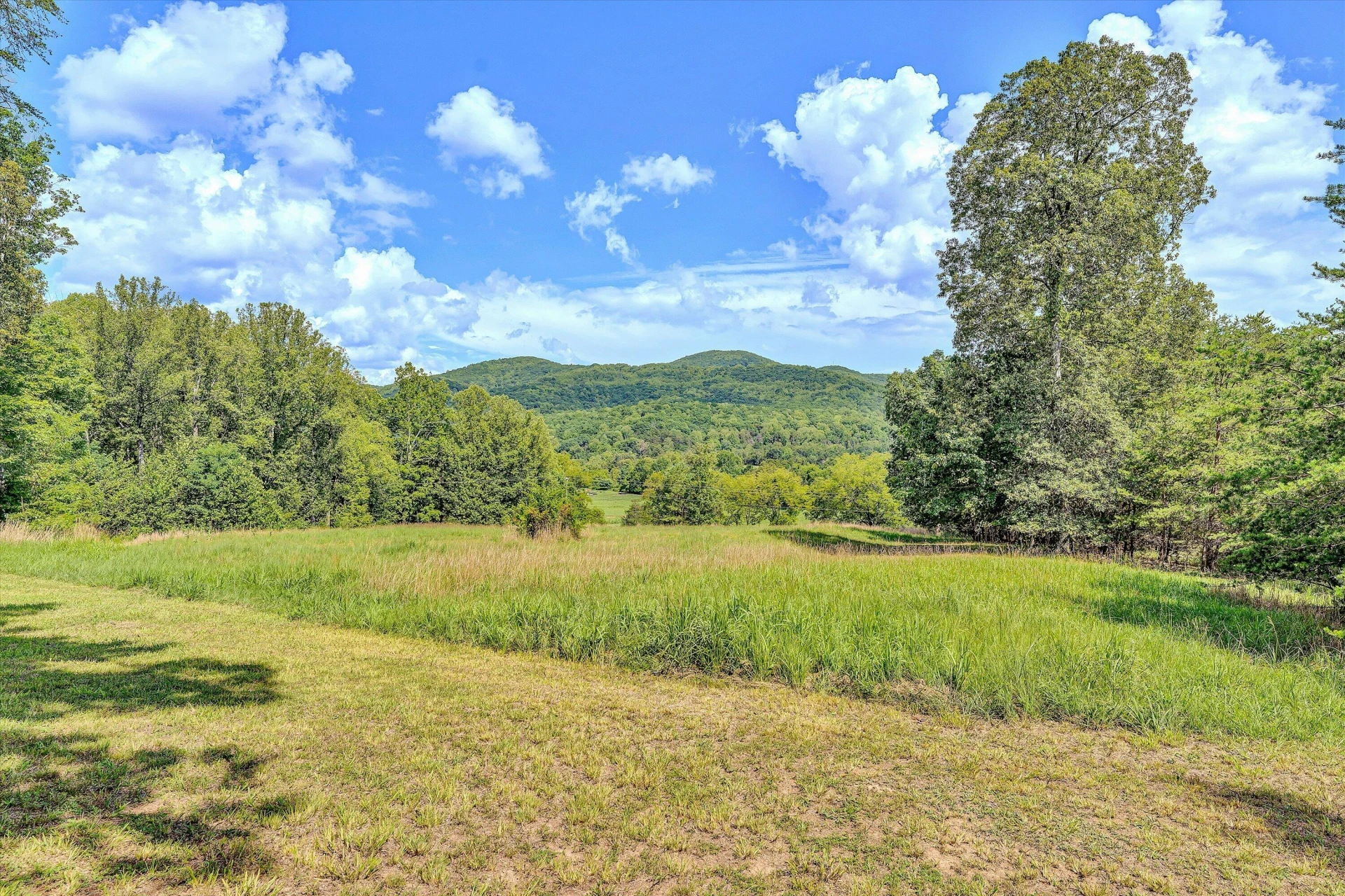 3012 Goose Creek Valley RD - Photo 45
