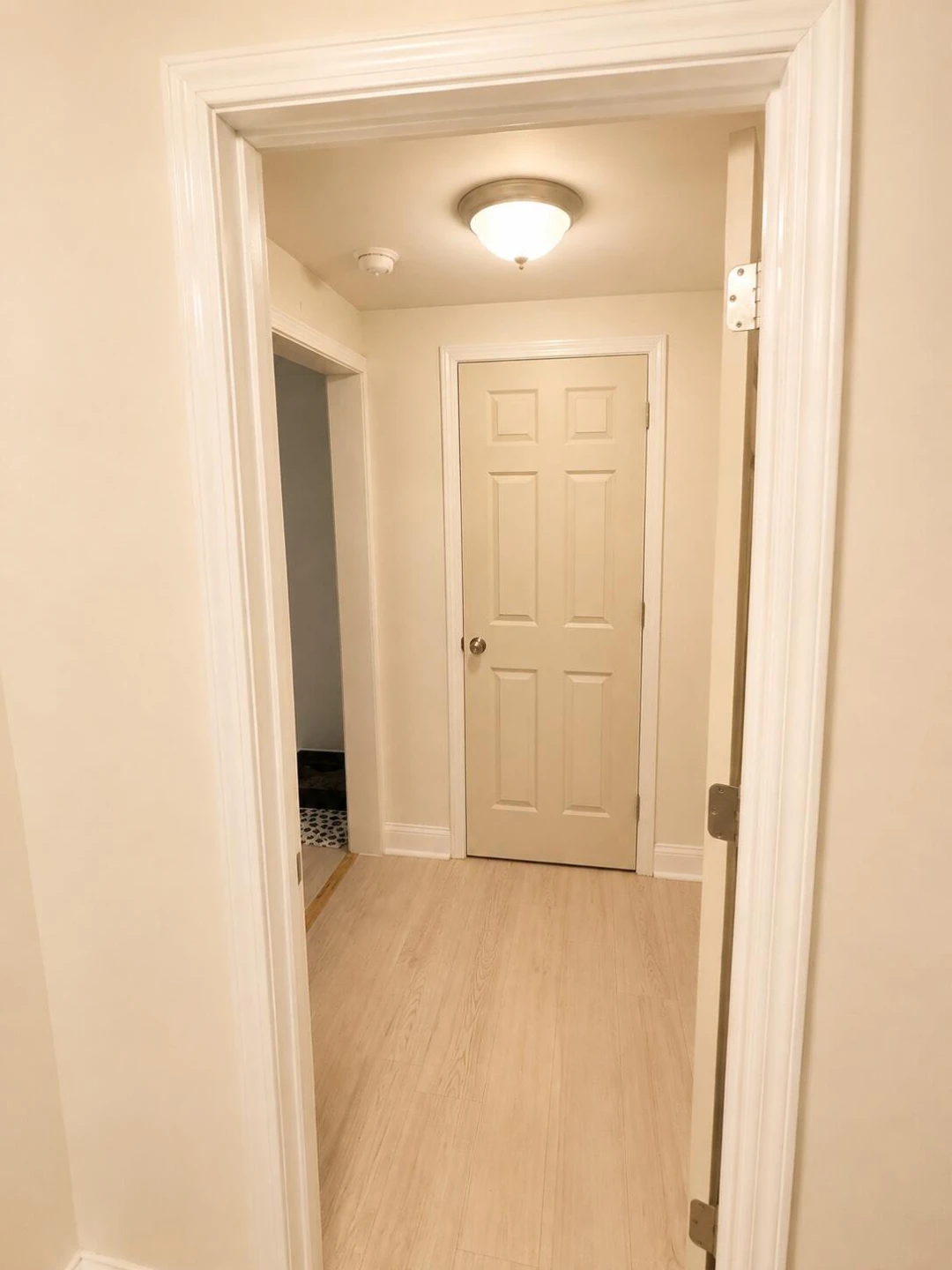 1316 Chapman AVE SW - Photo 9