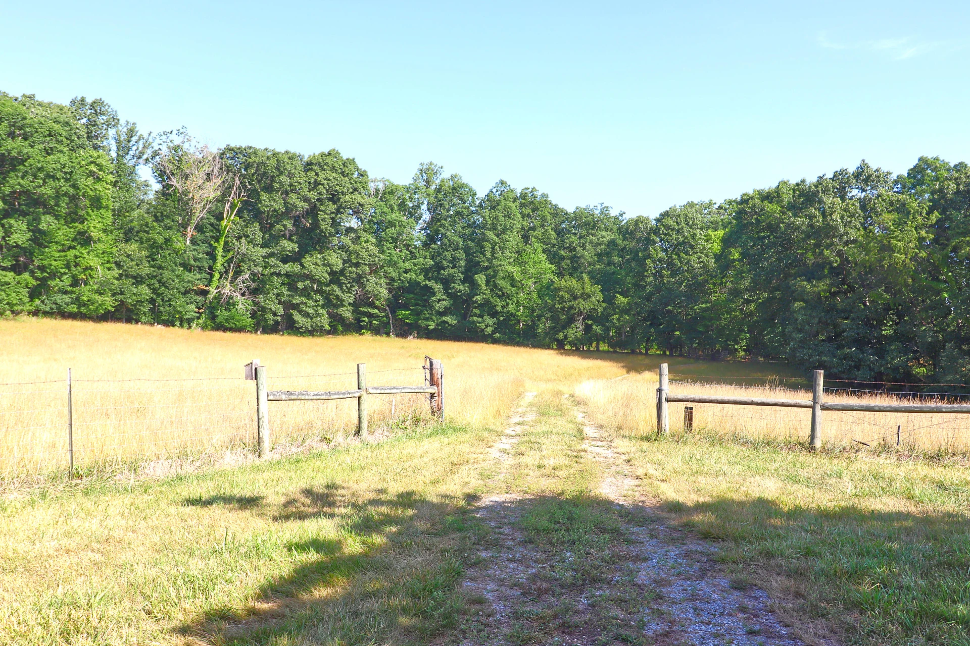 4613 Mountain Pride RD - Photo 6