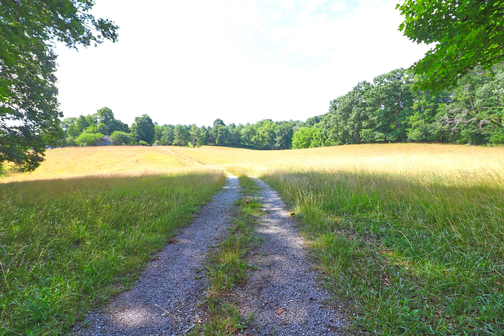 4613 Mountain Pride RD - Photo 7