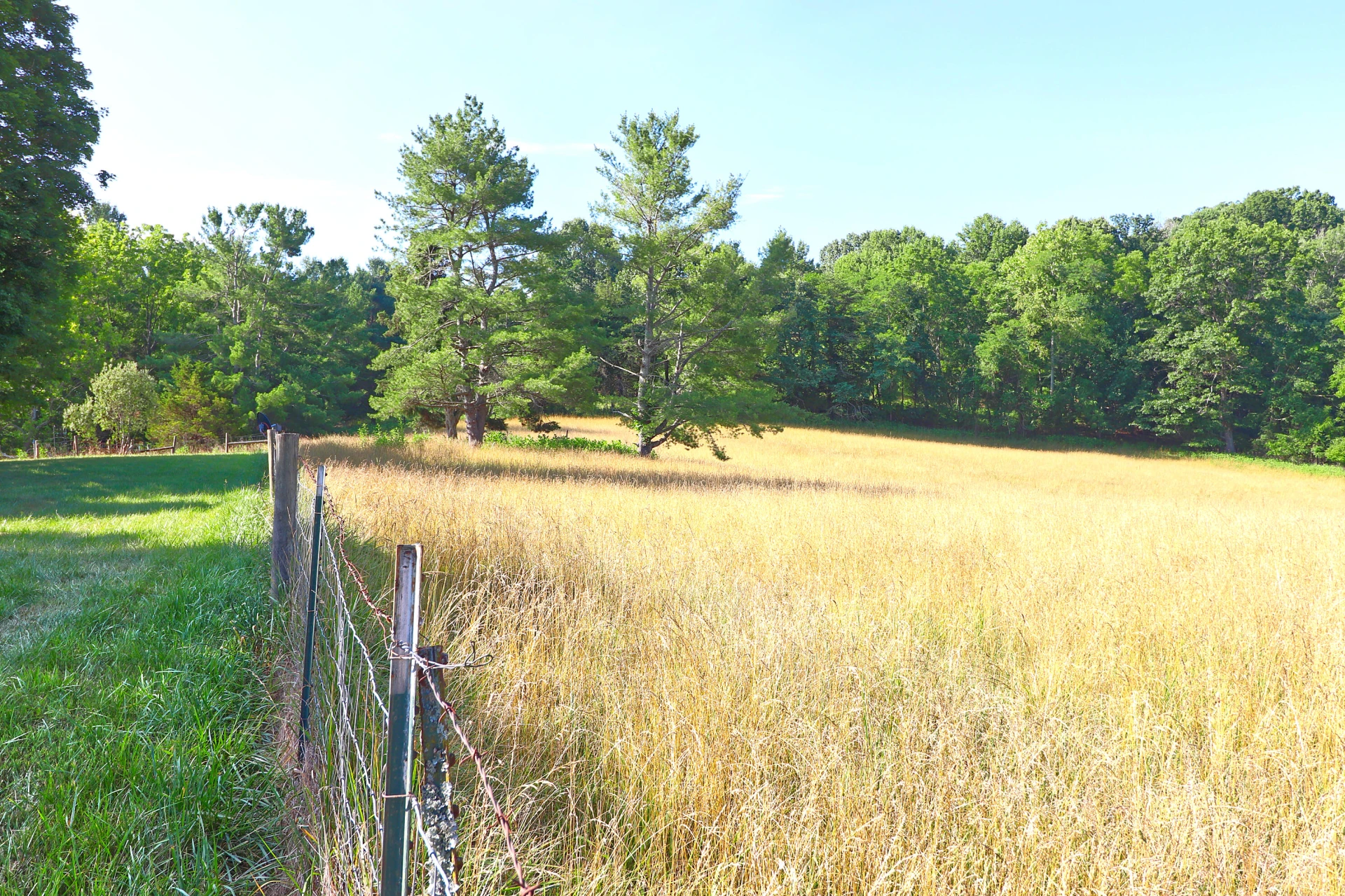 4613 Mountain Pride RD - Photo 8