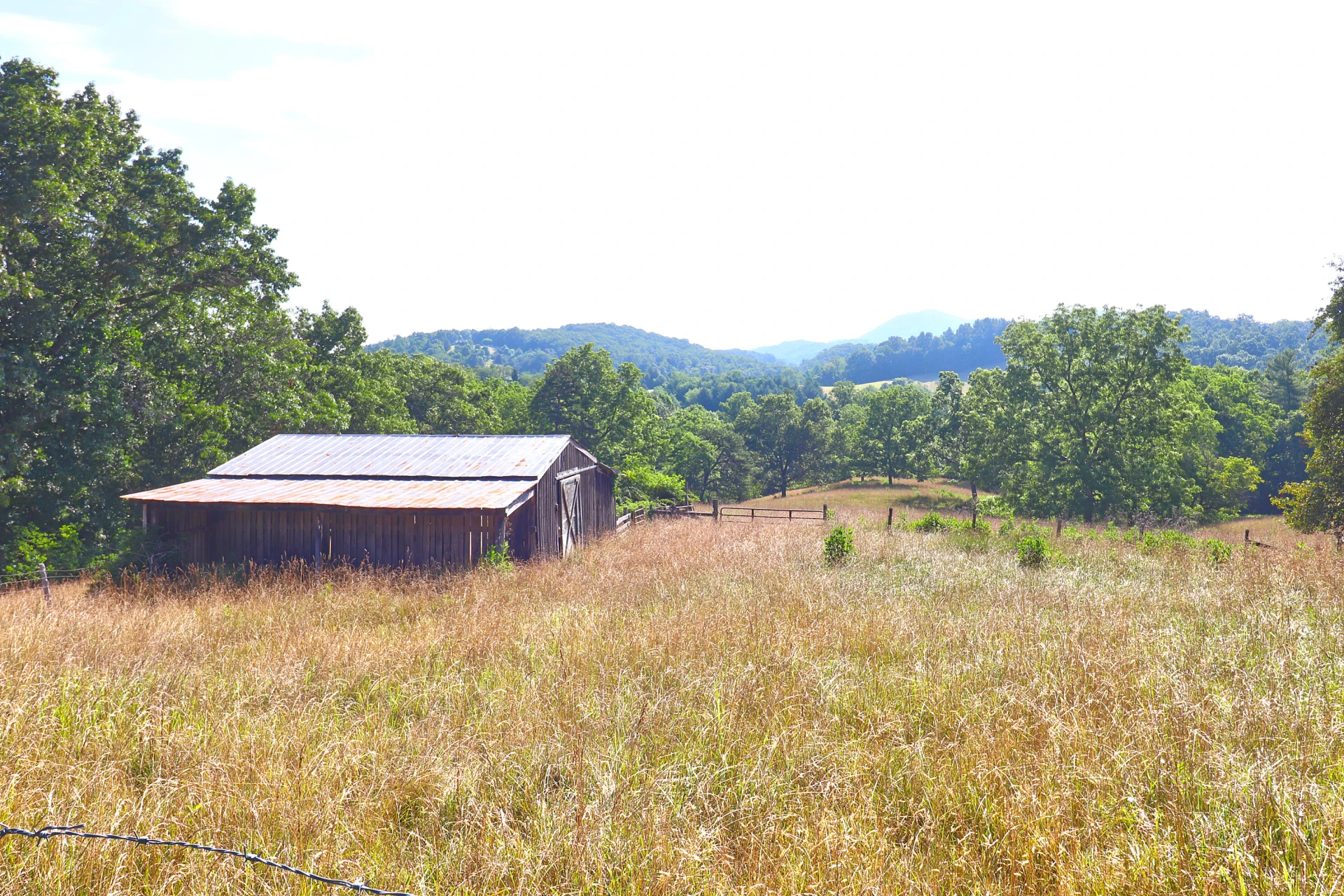 4613 Mountain Pride RD - Photo 9