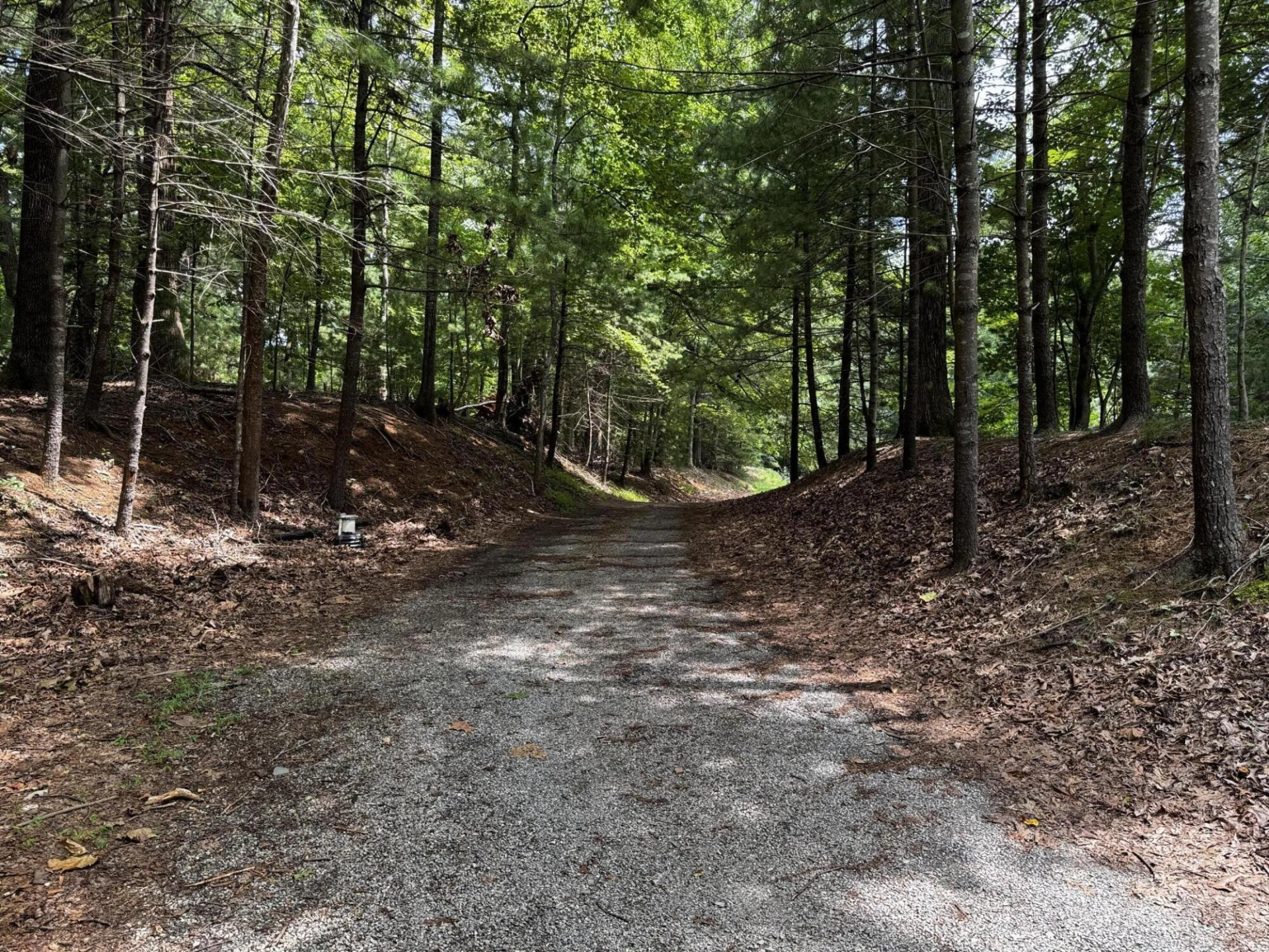 6613 Sylvan Brook RD - Photo 5